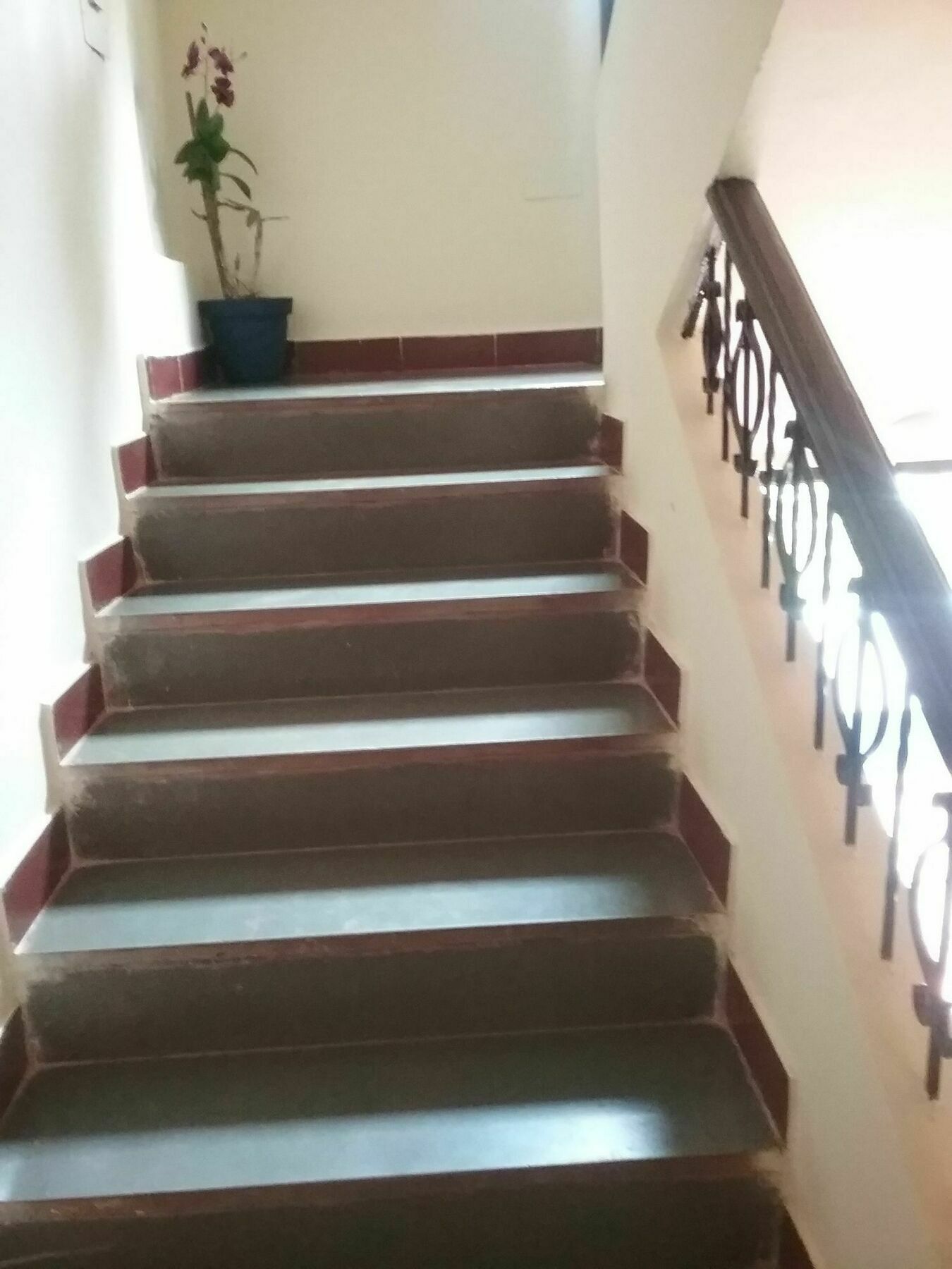 Hotel Baga Villa Bnb Saligao Екстер'єр фото